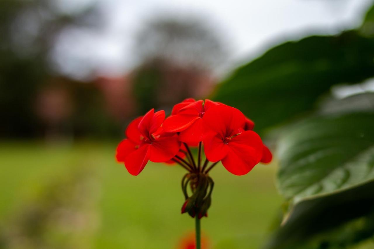 Pousada Rio Vermelho Florianópolis 외부 사진